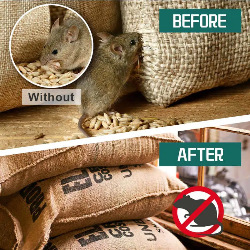Features of Rodent Repellent Pouches