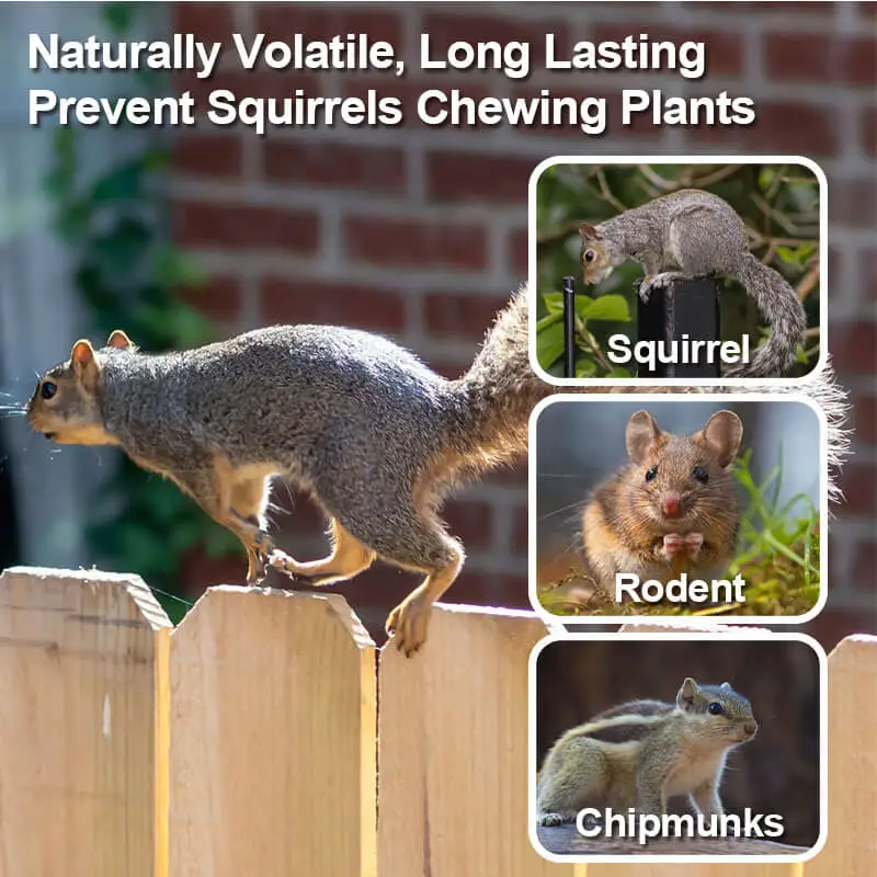 Features of Squirrel Repellent Pouch
