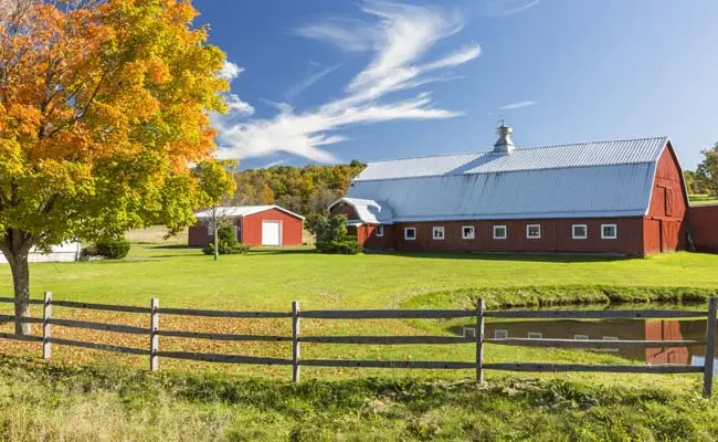 Repellents For Farm