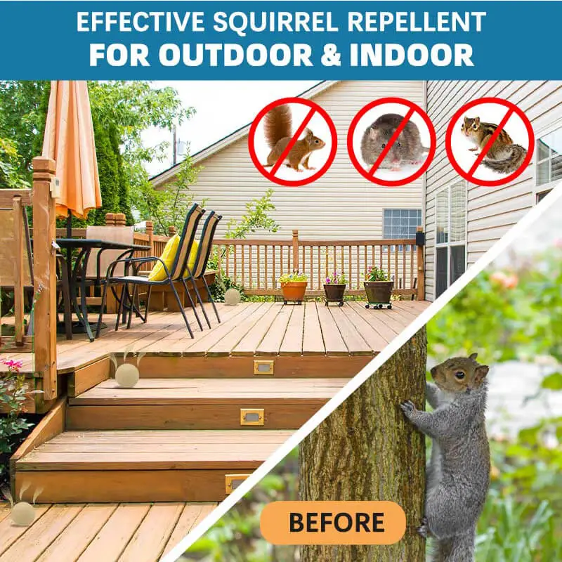 Features of Squirrel Repellent Paper Ball