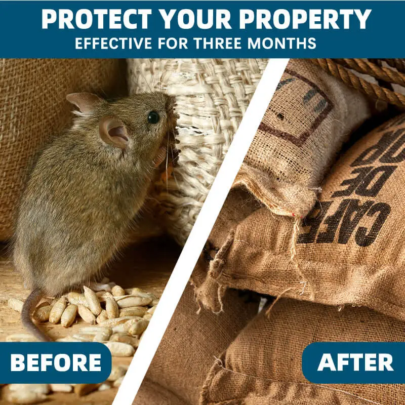 Features of Rodent Repellent Spray