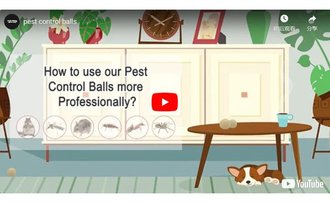How to use pest control balls more professionally?