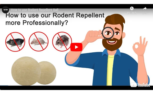 How to use Rodent Repellent Balls more professionally?